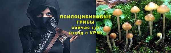 мескалин Алексеевка