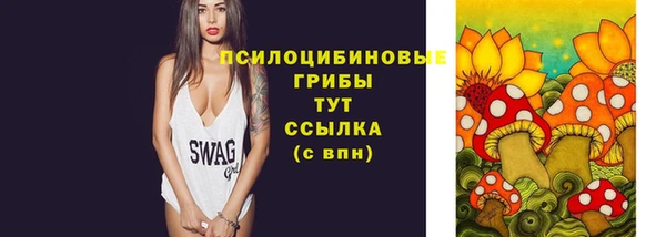 эйфоретик Алзамай