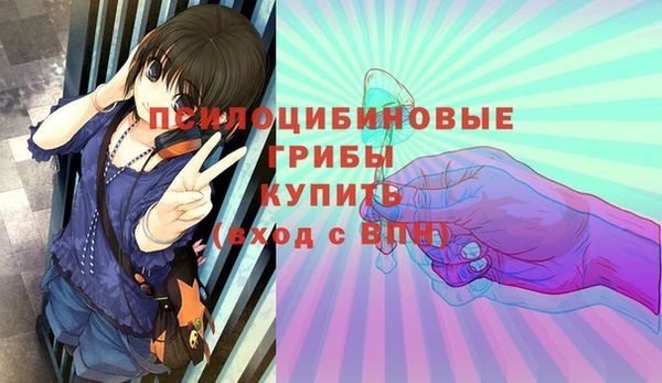 мдпв Алексин