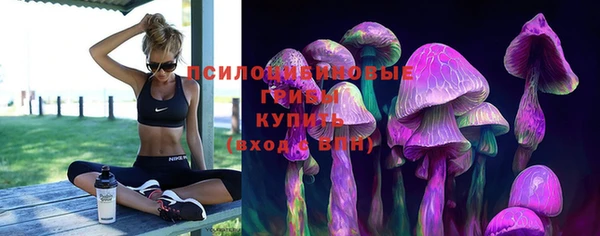 эйфоретик Алзамай