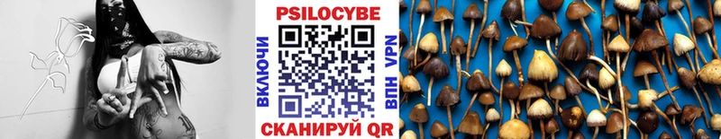 Галлюциногенные грибы Psilocybe  Тавда 