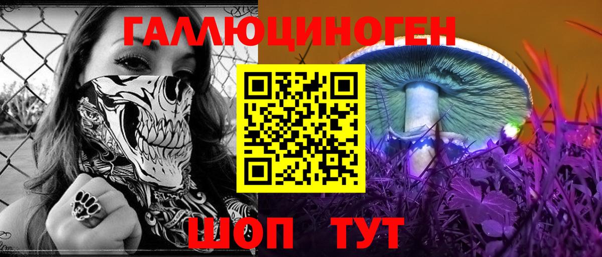 Тавда  Галлюциногенные грибы Psilocybine cubensis  Вход с VPN 